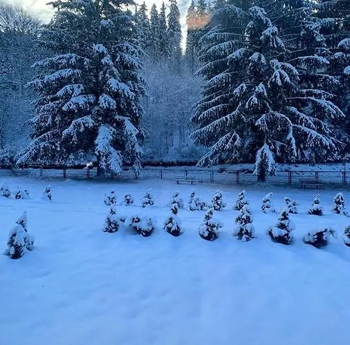 Taverne & Lubenbachtal 3*